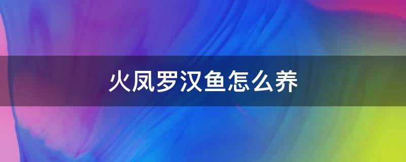 火凤罗汉鱼怎么养 火凤罗汉鱼养殖技巧
