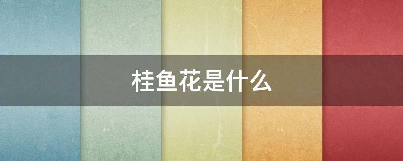 桂鱼花是什么 桂鱼花是什么部位