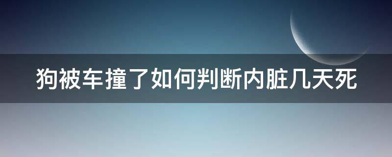 狗被车撞了如何判断内脏几天死（狗狗被车撞如何判断内出血）