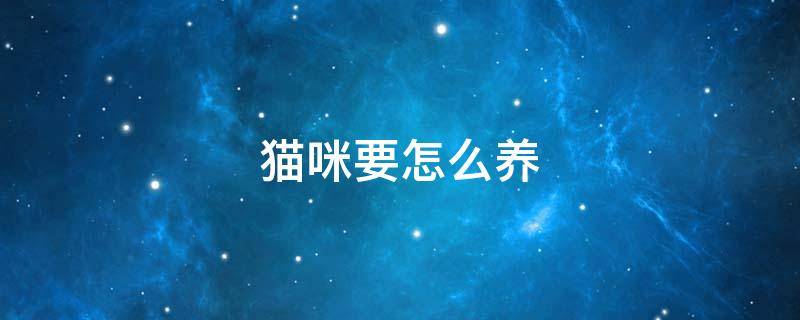 猫咪要怎么养 猫咪要怎么养才健康