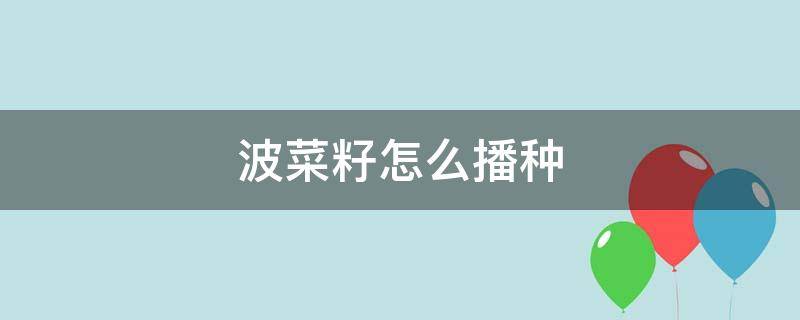 波菜籽怎么播种 波菜籽播种前需怎么处理