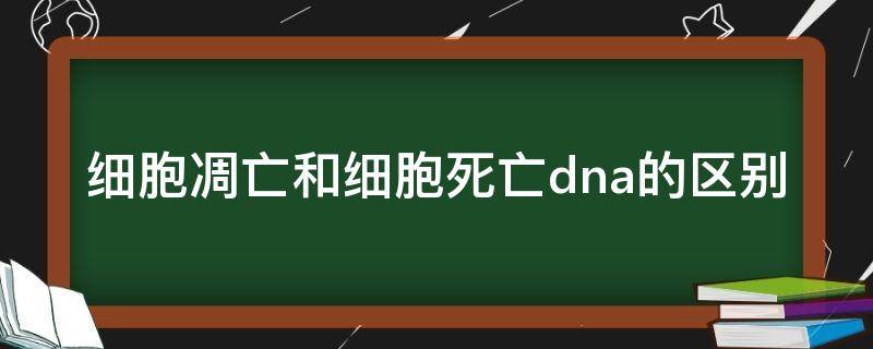 细胞凋亡和细胞死亡dna的区别 细胞凋亡和细胞死亡dna的区别