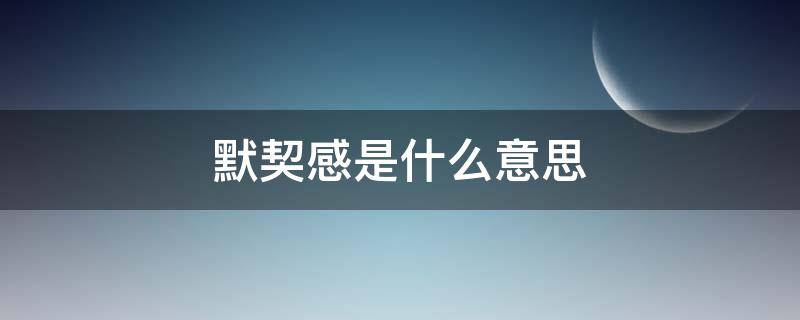 默契感是什么意思 什么叫默契感