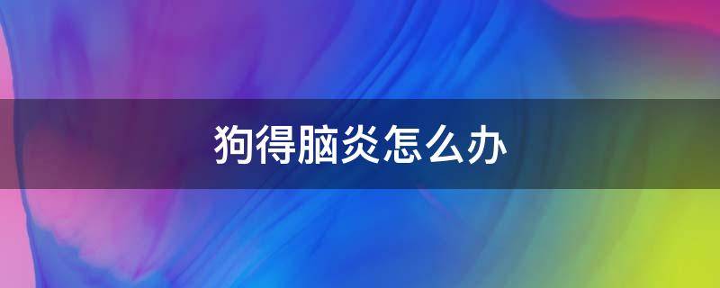 狗得脑炎怎么办（狗得了脑炎怎么治疗）