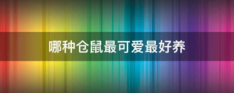 哪种仓鼠最可爱最好养（哪种仓鼠最可爱最好养的）