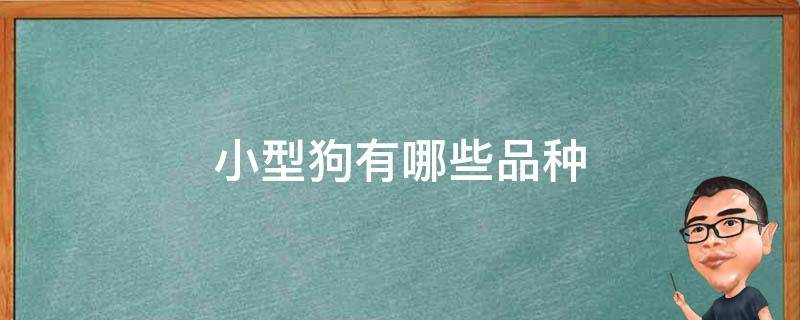 小型狗有哪些品种 小型狗有哪些品种名字