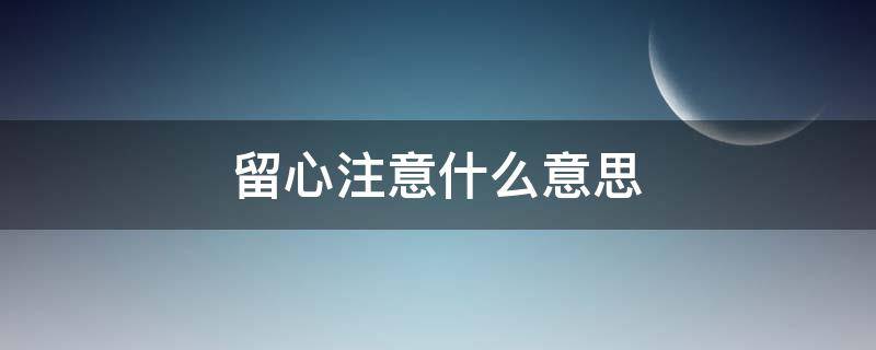 留心注意什么意思（留心注意是什么词语）