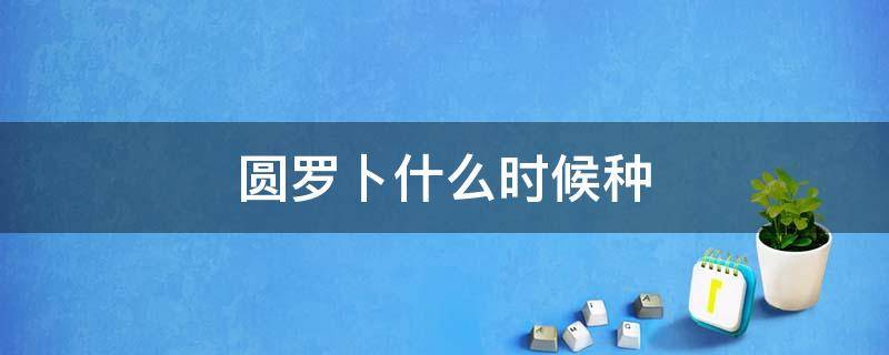 圆罗卜什么时候种 圆萝卜什么时候播种