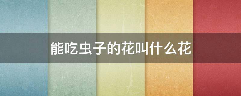 能吃虫子的花叫什么花 能吃虫子的花叫什么花名