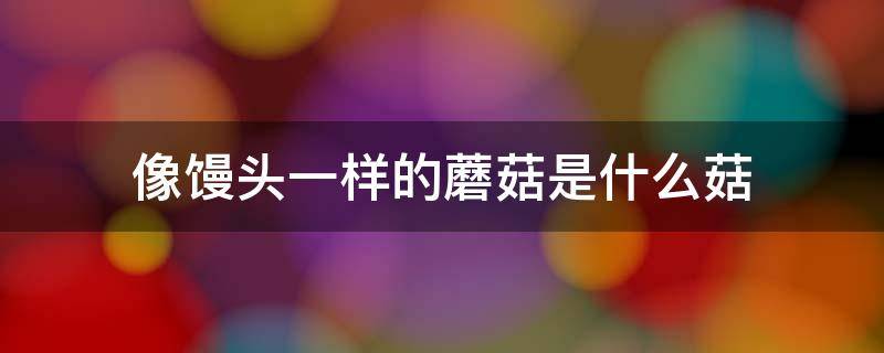 像馒头一样的蘑菇是什么菇（像馒头一样的蘑菇是什么菇）