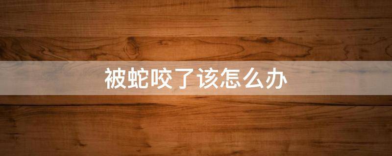 被蛇咬了该怎么办 被蛇咬了该怎么办英语