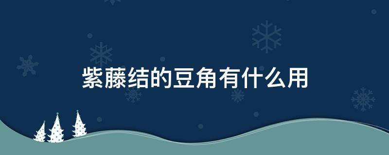紫藤结的豆角有什么用（紫藤结的豆角有什么用处）
