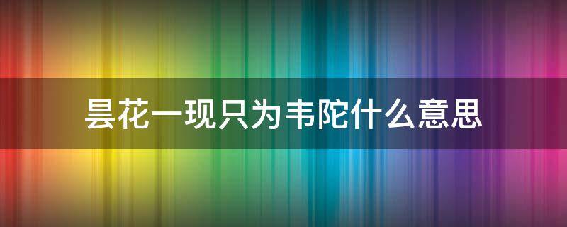 昙花一现只为韦陀什么意思（昙花一现只为韦驮）