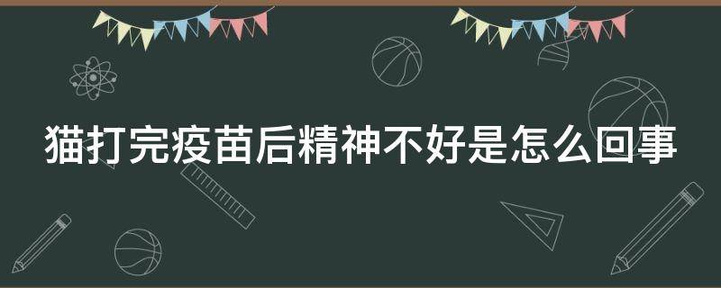 猫打完疫苗后精神不好是怎么回事 不出门的猫有必要打猫三联吗