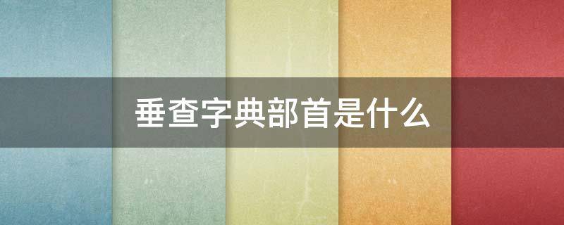 垂查字典部首是什么（垂查字典部首是什么查）