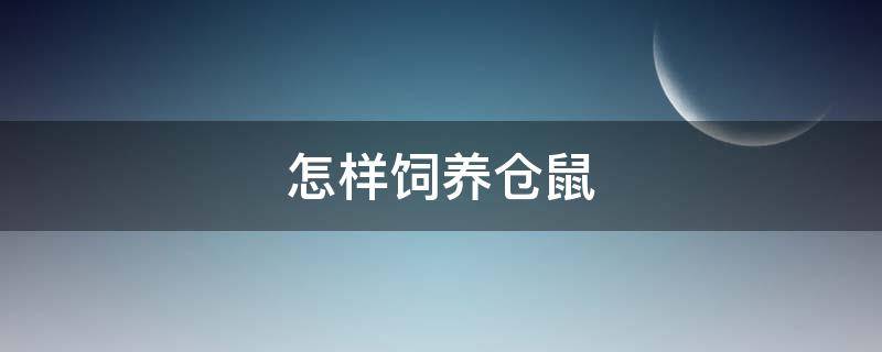 怎样饲养仓鼠 怎样饲养仓鼠新手必看