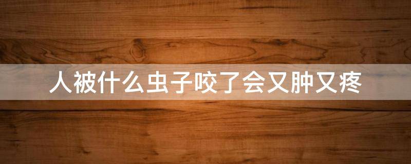 人被什么虫子咬了会又肿又疼 被什么虫咬会死人