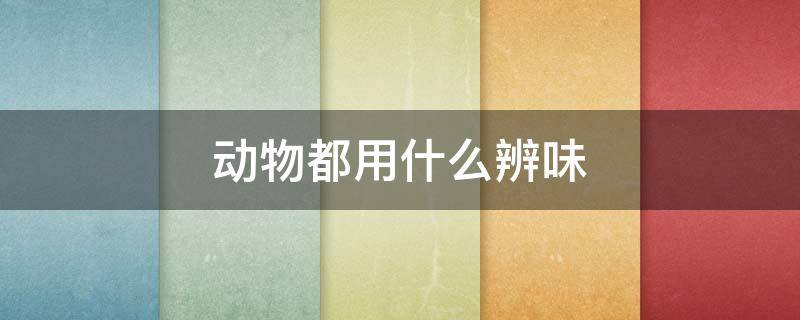 动物都用什么辨味 小动物都用什么辨味