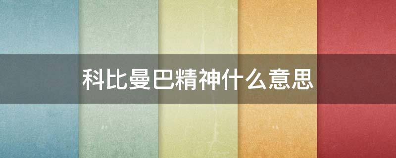 科比曼巴精神什么意思 科比曼巴精神测评
