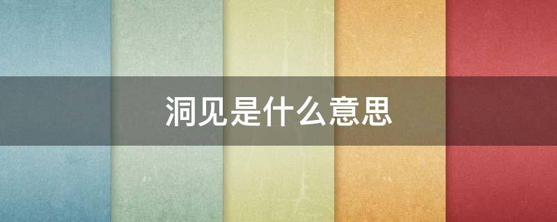 洞见是什么意思（洞见的意思是什么意思）