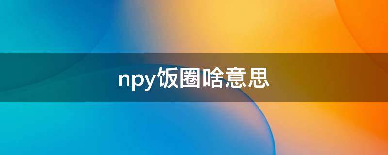 npy饭圈啥意思（饭圈nc）
