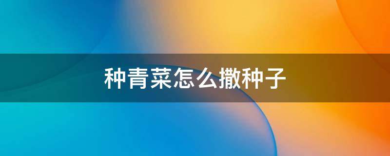 种青菜怎么撒种子（种植青菜的过程）