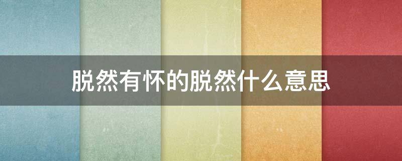 脱然有怀的脱然什么意思 脱然有怀求之靡途翻译