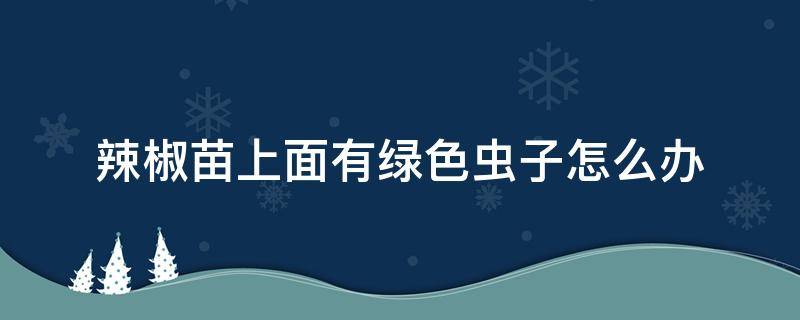 辣椒苗上面有绿色虫子怎么办 辣椒苗上面有绿色虫子怎么办视频