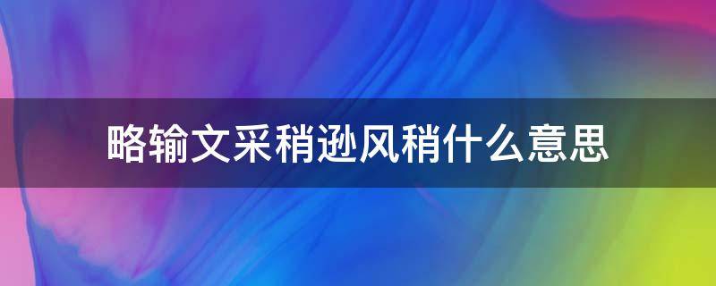 略输文采稍逊风稍什么意思 略输文采是什么短语