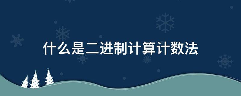 什么是二进制计算计数法（什么是二进制计算计数法的概念）