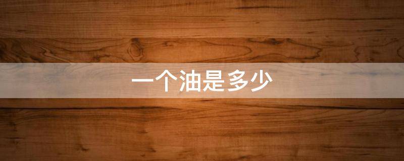 一个油是多少（一个油是多少升）