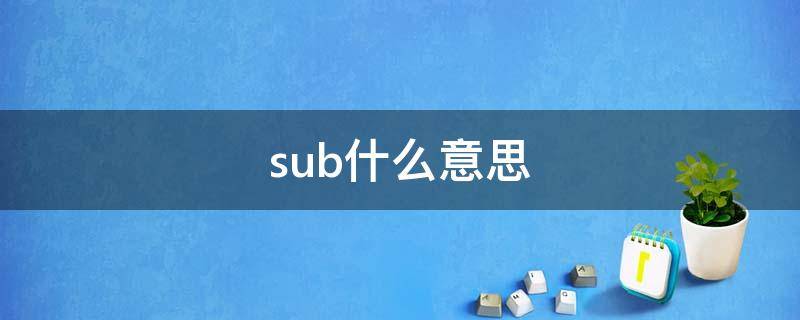 sub什么意思（subjecy是什么意思啊）