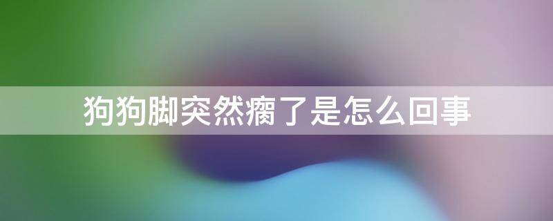 狗狗脚突然瘸了是怎么回事 狗狗脚突然一瘸一拐的