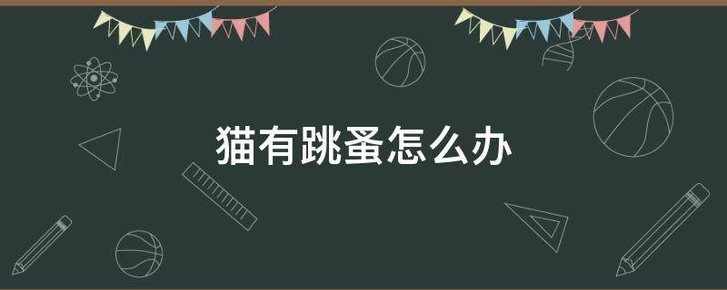 猫有跳蚤怎么办 宠物猫有跳蚤怎么办