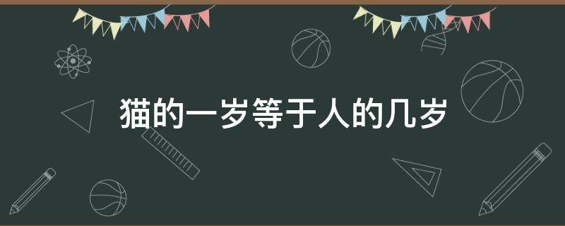 猫的一岁等于人的几岁（猫的一岁等于人的几岁表格）