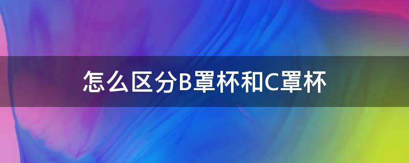 怎么区分B罩杯和C罩杯（罩杯b c怎么判断）