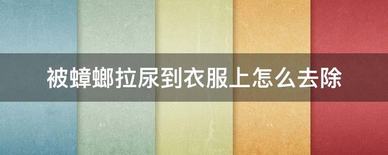 被蟑螂拉尿到衣服上怎么去除（被蟑螂拉尿到衣服上怎么去除小妙招）