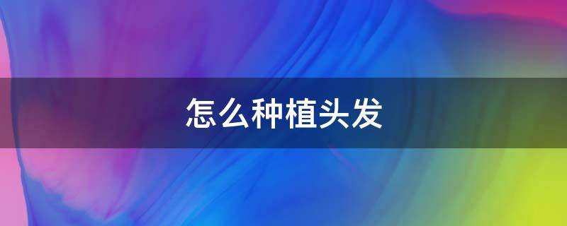 怎么种植头发（怎么种植头发视频）