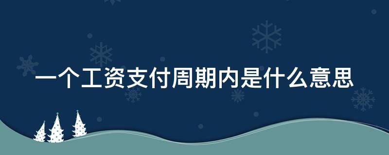 一个工资支付周期内是什么意思（一个工资支付周期内的是什么意思）