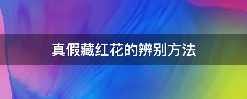 真假藏红花的辨别方法（识别真假藏红花）