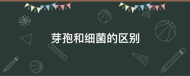 芽孢和细菌的区别（芽孢和细菌的区别图片）