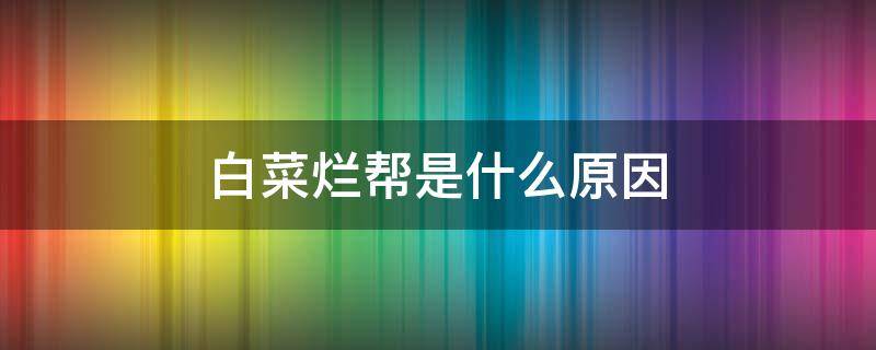 白菜烂帮是什么原因 白菜烂帮是什么原因怎么防治