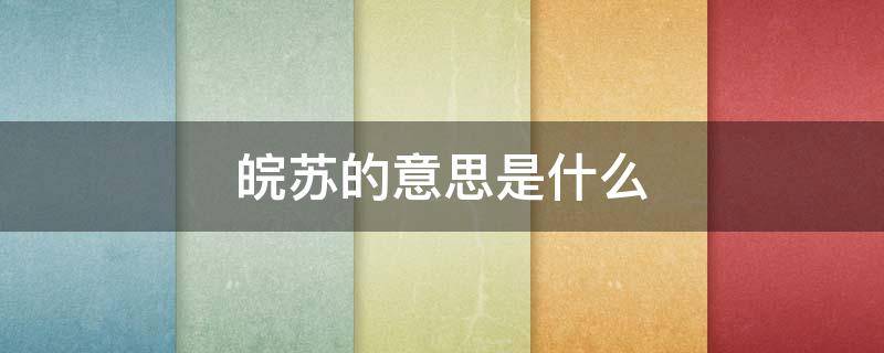 皖苏的意思是什么（终端商务）