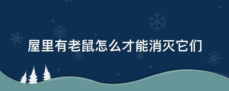 屋里有老鼠怎么才能消灭它们（屋里有老鼠怎么驱赶）