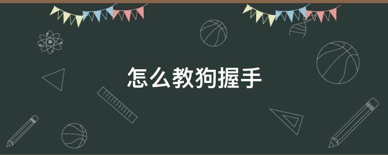 怎么教狗握手（怎么教狗握手和坐下）