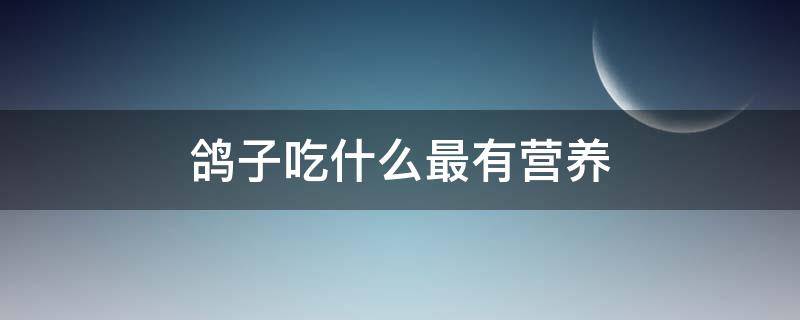 鸽子吃什么最有营养（鸽子吃什么最有营养?）