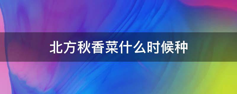 北方秋香菜什么时候种（北方秋香菜什么时候种植最好）