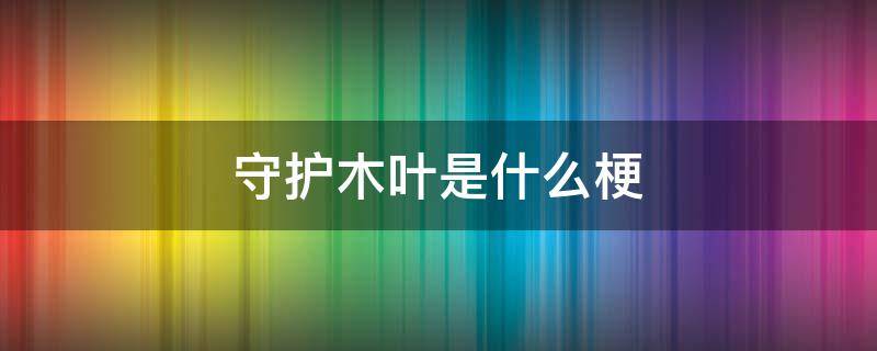 守护木叶是什么梗