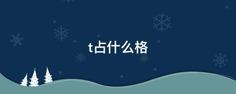 t占什么格 t占什么格图片