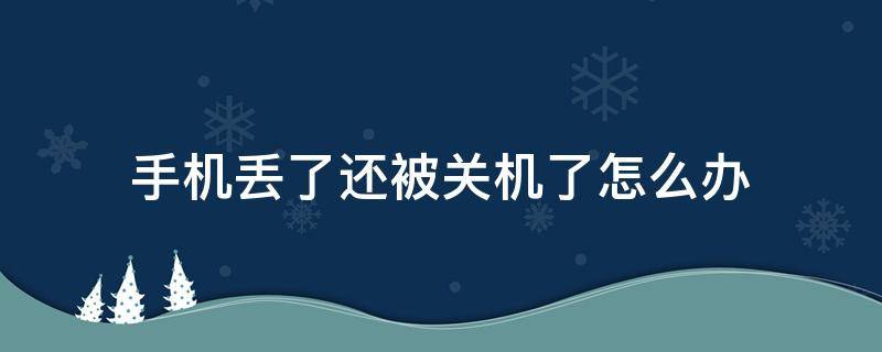 手机丢了还被关机了怎么办（手机丢了被关机了怎么办华为）